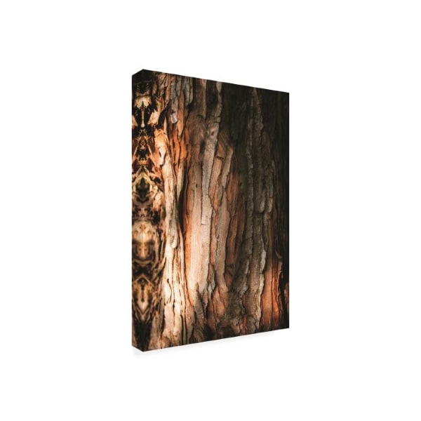 Philippe Sainte Laudy 'Tree Bark' Canvas Art,30x47